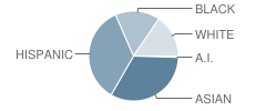 P.S. 219 Paul Klapper School Student Race Distribution
