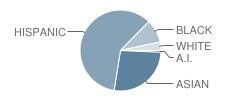 P.S. 90 Horace Mann School Student Race Distribution