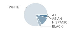 P.S. 207 Rockwood Park School Student Race Distribution