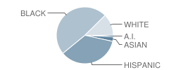 P.S. 225 Seaside School Student Race Distribution