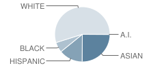 P.S. 255 Barbara Reing School Student Race Distribution