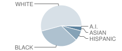 P.S. 312 Bergen Beach School Student Race Distribution