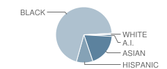 York Early College Academy Student Race Distribution