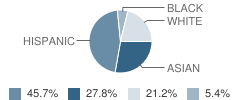 Young Womens Leadership School Student Race Distribution