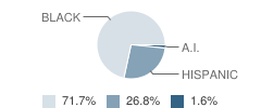 Young Women's Leadership School of Brooklyn Student Race Distribution