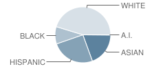 World Journalism Preparatory School Student Race Distribution