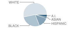 Elmwood Village Charter School Student Race Distribution