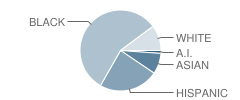 International Preparatory School at Grover Cleveland Student Race Distribution