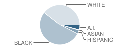 Gaskill Preparatory School Student Race Distribution