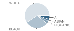 Lasalle Preparatory School Student Race Distribution