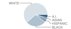 Cataract Elementary School Student Race Distribution