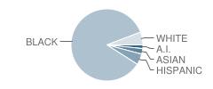 Dr Walter Cooper Academy Student Race Distribution