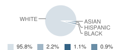 Chautauqua Lake Elementary School Student Race Distribution