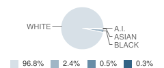 Mannsville Manor Elementary School Student Race Distribution