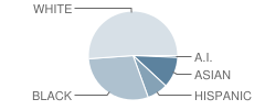 School 19 Student Race Distribution