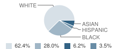 Windermere Blvd School Student Race Distribution