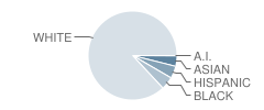 Lagrange Middle School Student Race Distribution