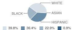 Steele Elementary School Student Race Distribution