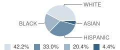 Bay Shore Middle School Student Race Distribution