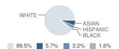 Slingerlands Elementary School Student Race Distribution