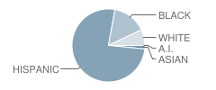 North Middle School Student Race Distribution