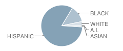 Herman Badillo Community School Student Race Distribution