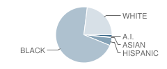 Montessori School Student Race Distribution