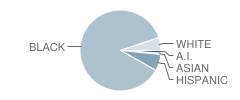 P.S. 37 Futures Academy Student Race Distribution