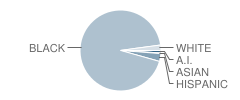 Community School #53 Student Race Distribution