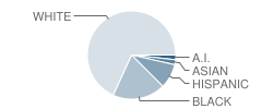 Southside Elementary School Student Race Distribution