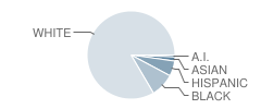 Carthage Middle School Student Race Distribution