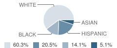 Chester Elementary School Student Race Distribution