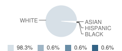 Clifton-Fine Junior-High School Student Race Distribution