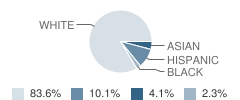 Cherokee Street Elementary School Student Race Distribution