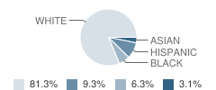 Cornwall Central High School Student Race Distribution