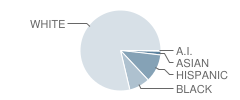 Dover Elementary School Student Race Distribution