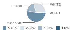 School 3 Student Race Distribution