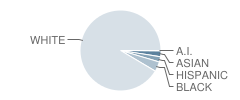 Howard L. Goff School Student Race Distribution