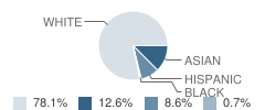 Anne Hutchinson School Student Race Distribution