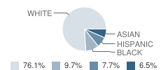 Elwood Middle School Student Race Distribution