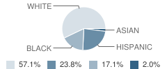 Fallsburg Junior / Senior High School Student Race Distribution