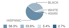 Bayview Avenue School Student Race Distribution