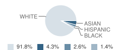 Stewart School Student Race Distribution