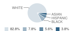 Paddy Hill Elementary School Student Race Distribution