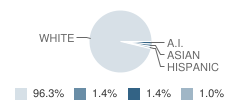 Boston Valley Elementary School Student Race Distribution