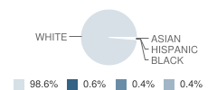 Hartford Central School Student Race Distribution