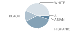 James A. Farley Middle School Student Race Distribution