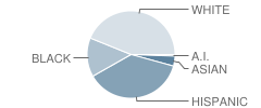 North Rockland High School Student Race Distribution