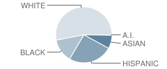 Thiells Elementary School Student Race Distribution