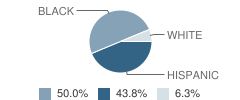 Hawthorne Cedar Knolls Elementary School Student Race Distribution